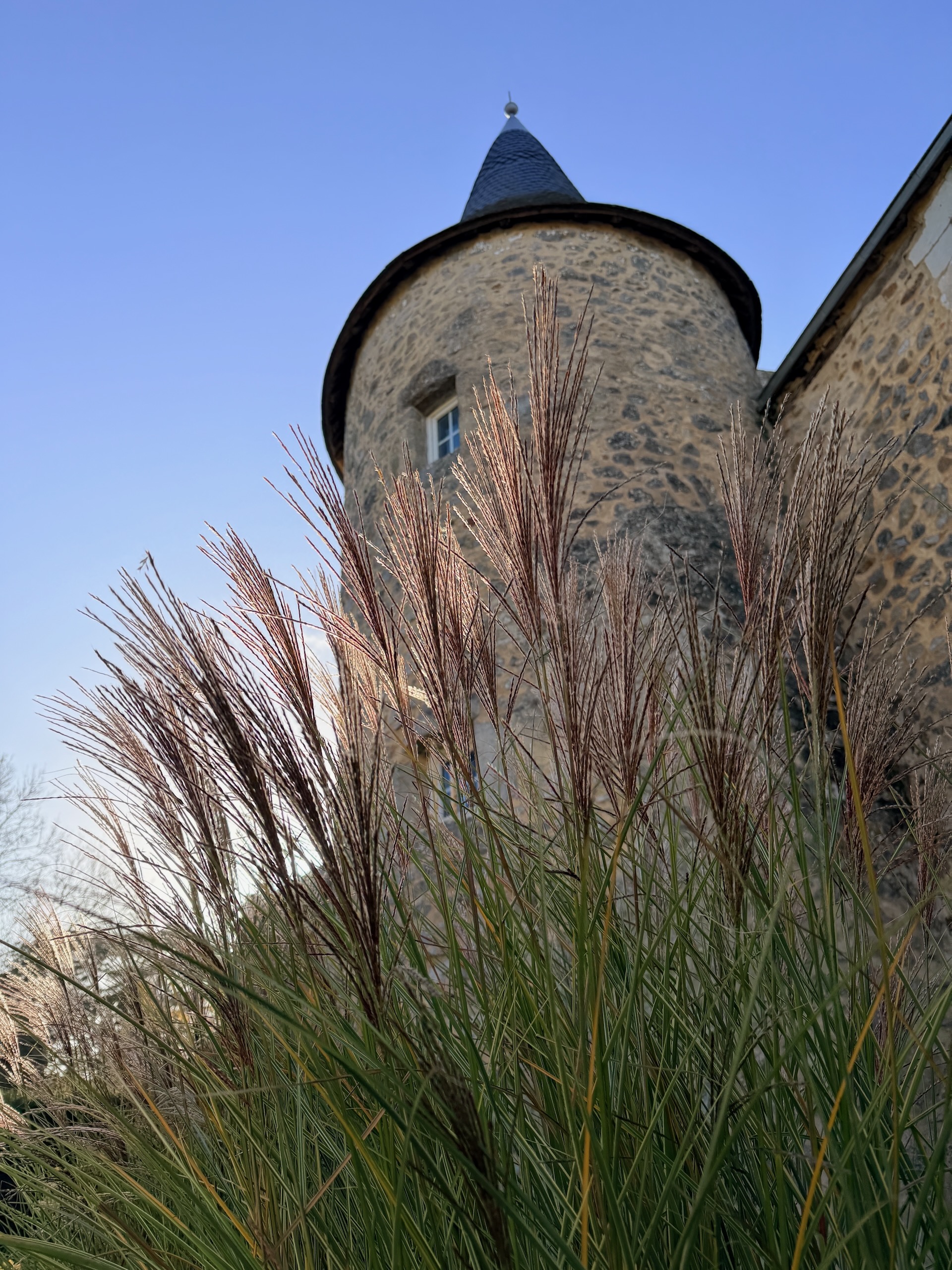 The tower of Manoir de la Grand’Cour, Soulgé-sur-Ouette